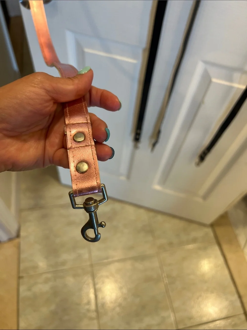 Dog Leashes that can be Personalized